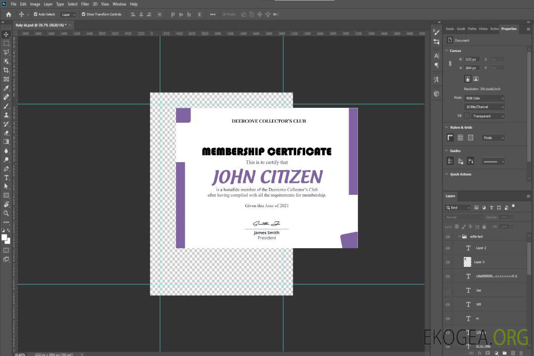 Certificat d'adhésion au club américain template